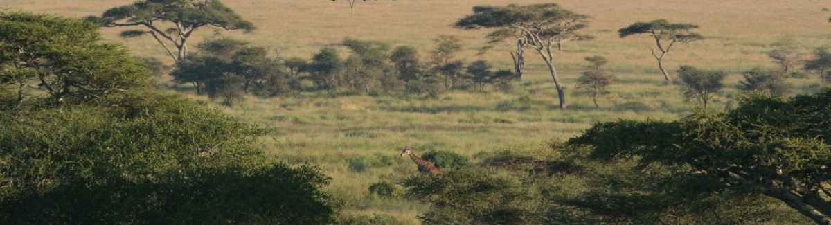 9 Days Serengeti Safari 