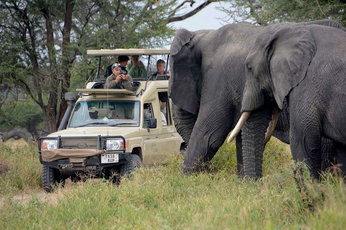 Tanzania Wildlife Guide