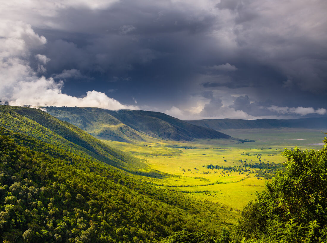 Ngorongoro safari Guide