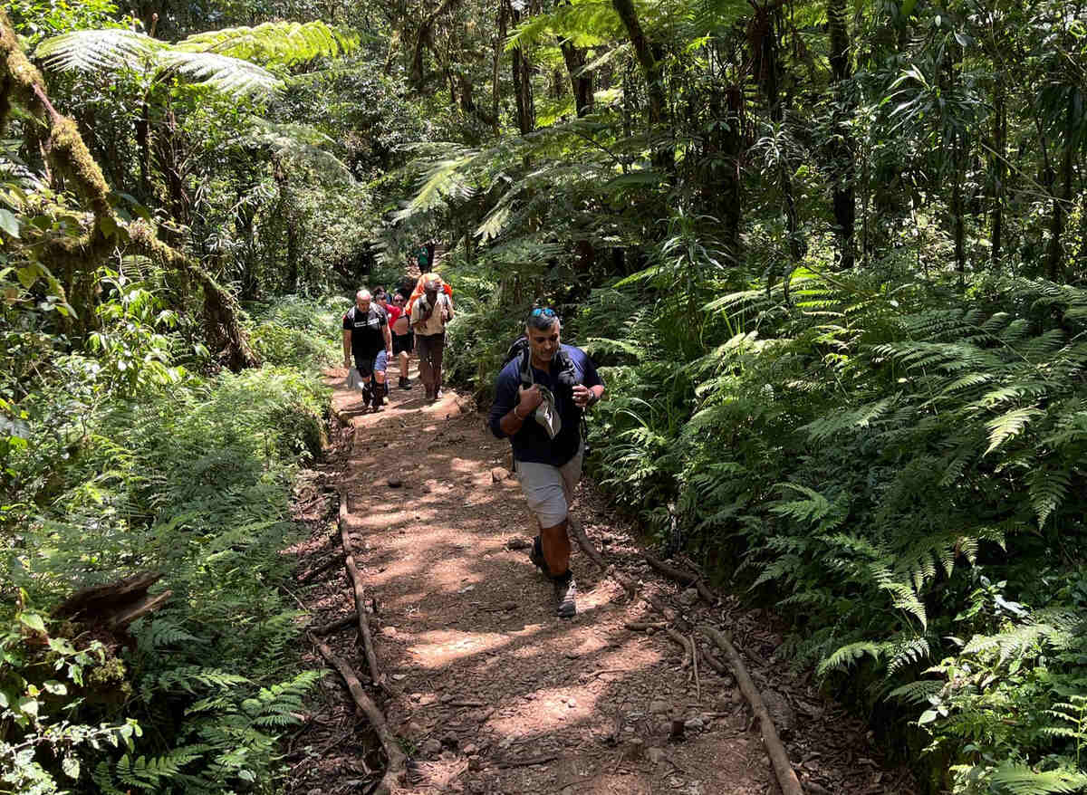 kilimanjaro 5 climate zones explained