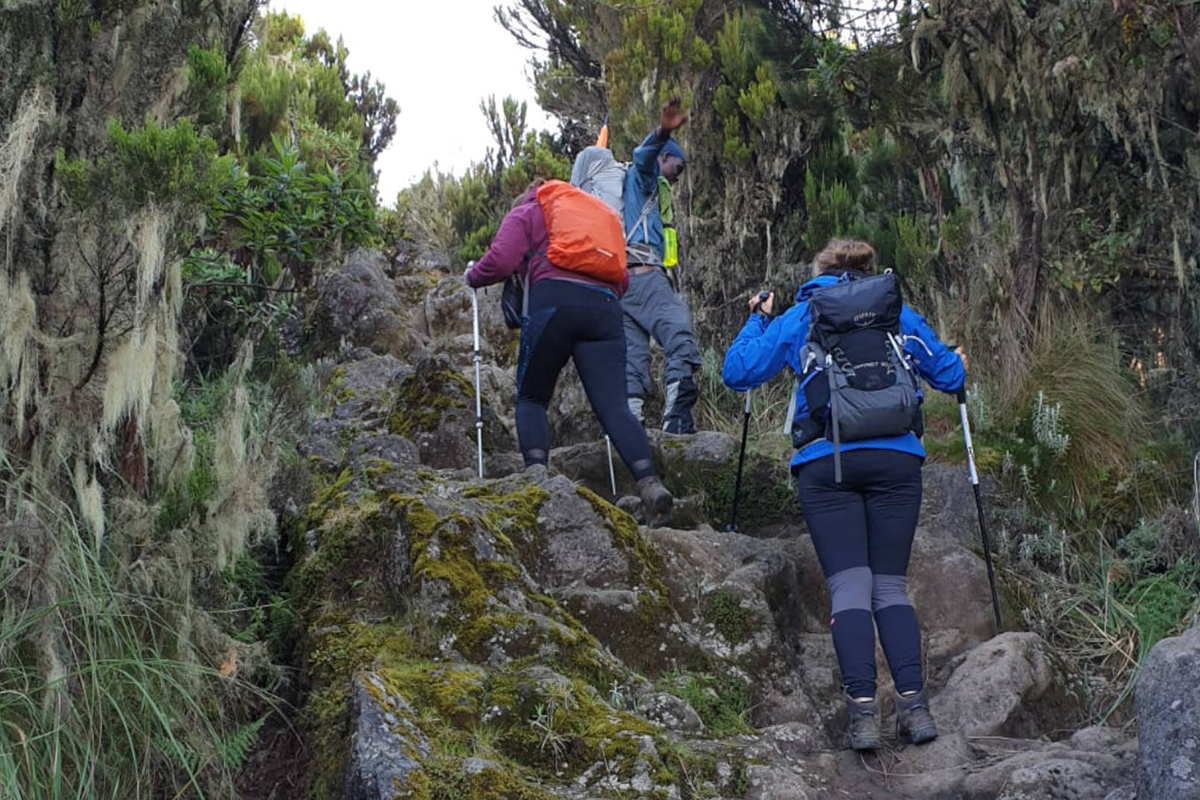 Kilimanjaro trekking Machame route