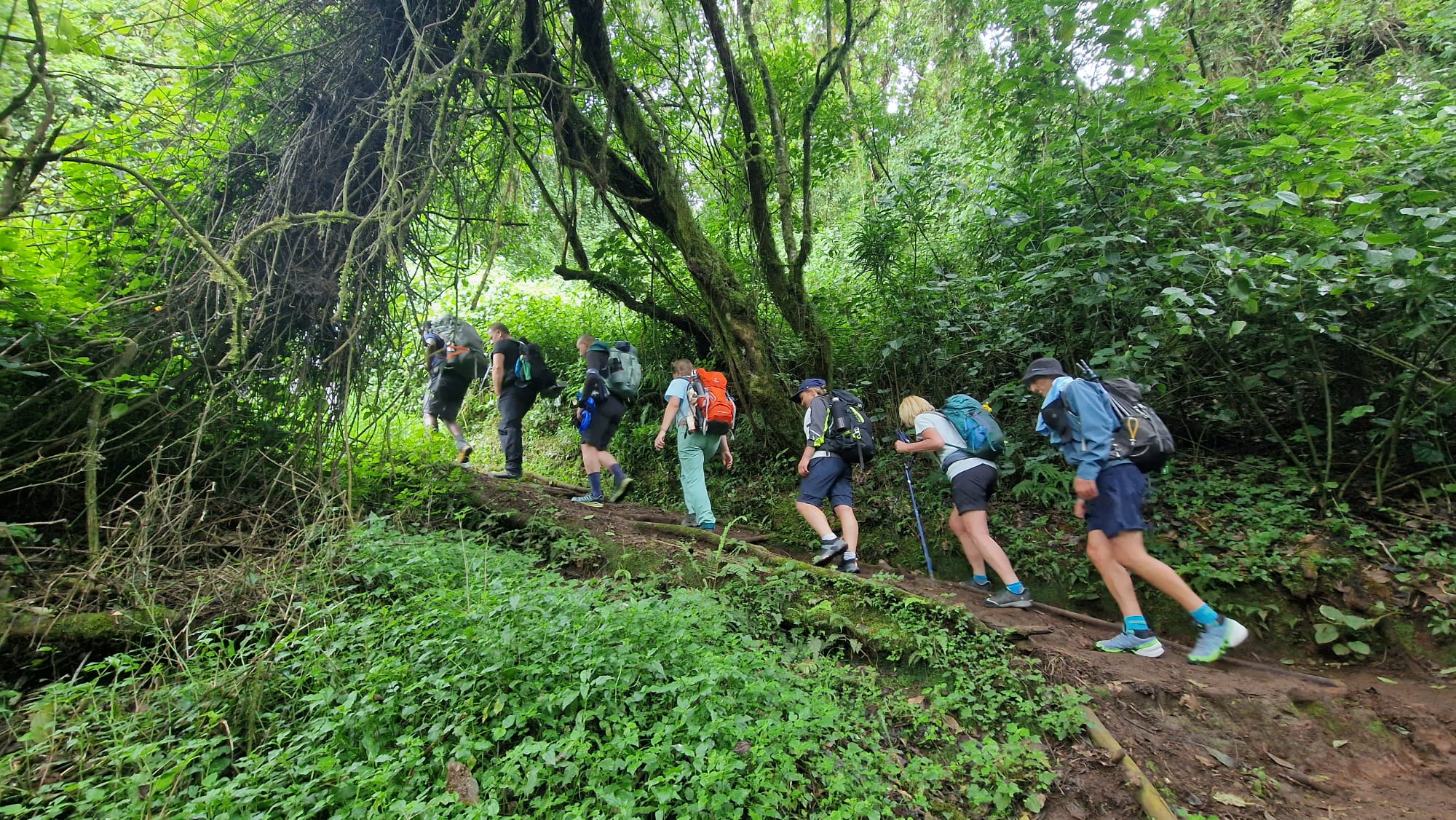 Kilimanjaro Machame Route Guide