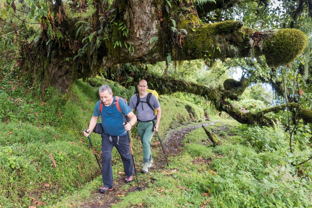 Machame Route Success Rate