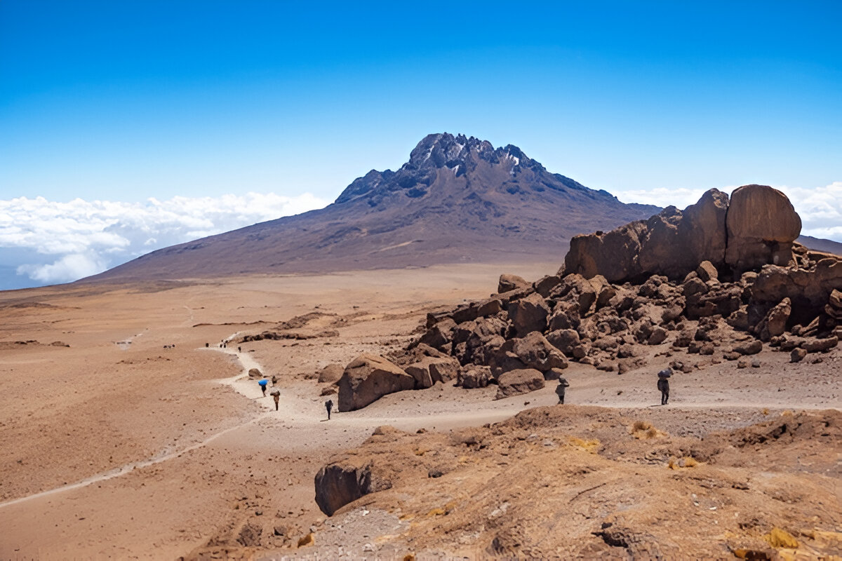Lemosho Route Kilimanjaro