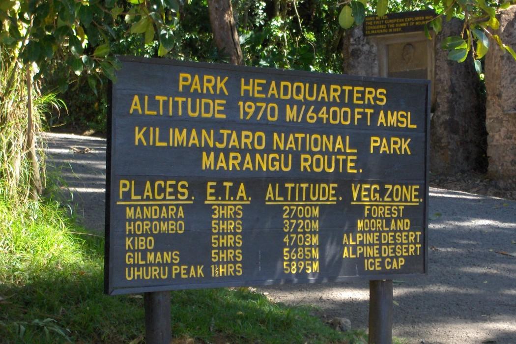 Kilimanjaro Marangu Route Success