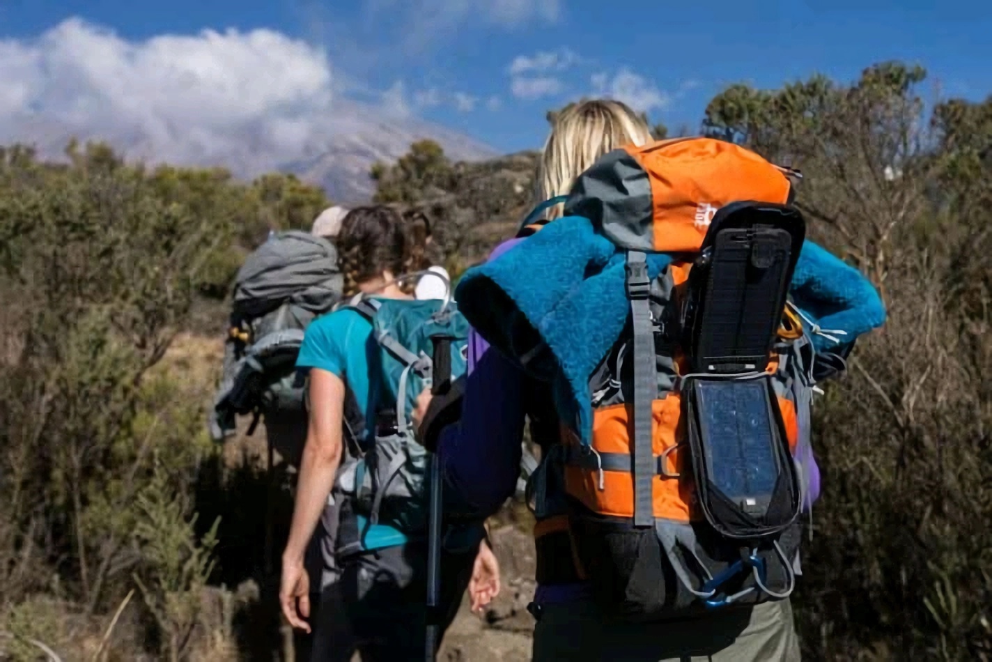 Kilimanjaro Marangu Route Success