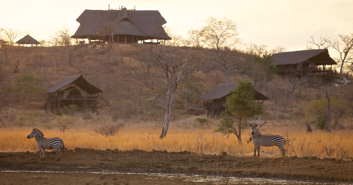 Practical Guide to Visiting the Serengeti 