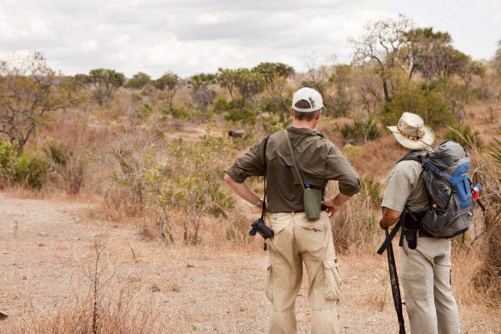 Northern vs Southern Tanzania safari