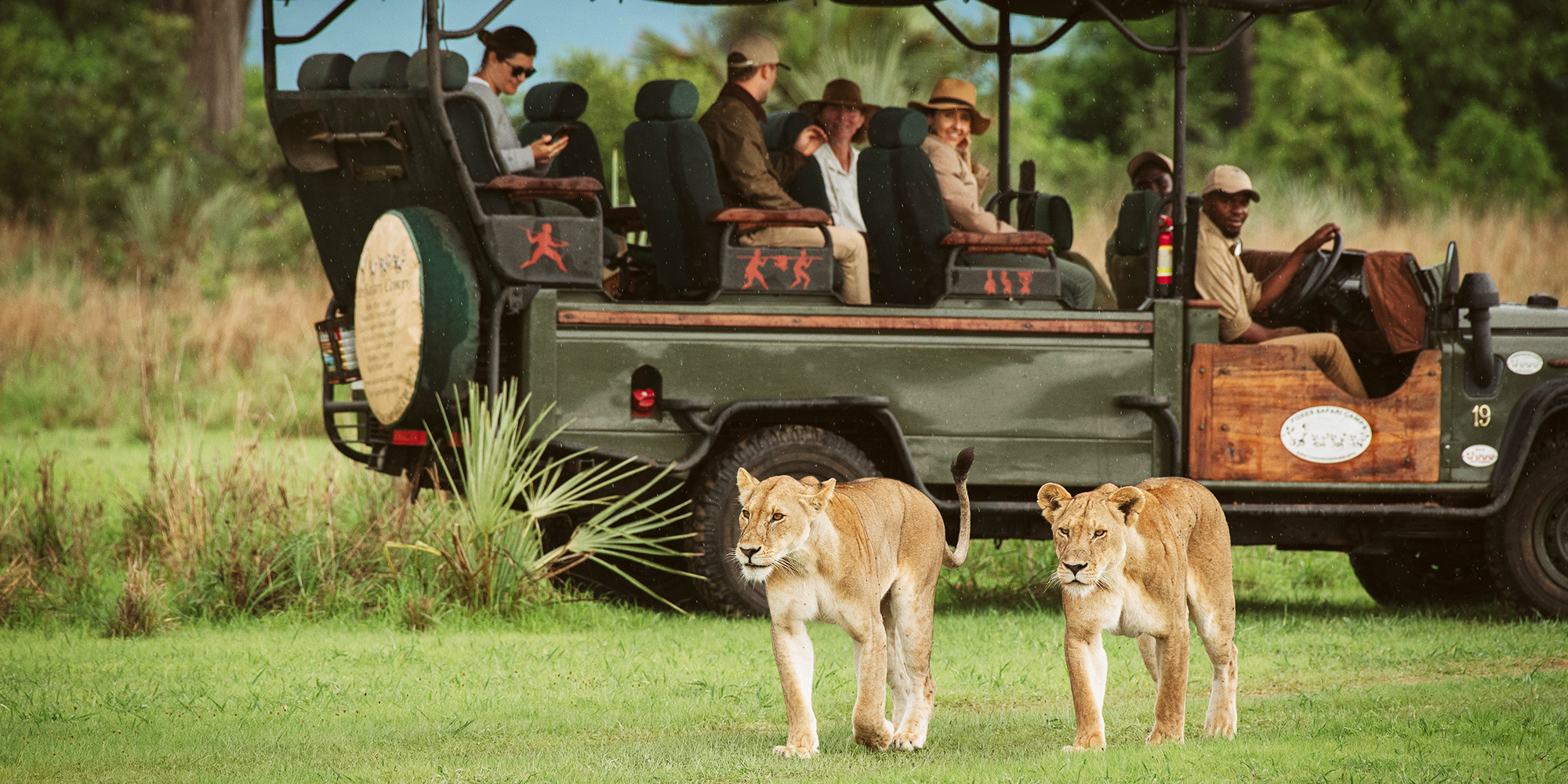 Ruaha safari