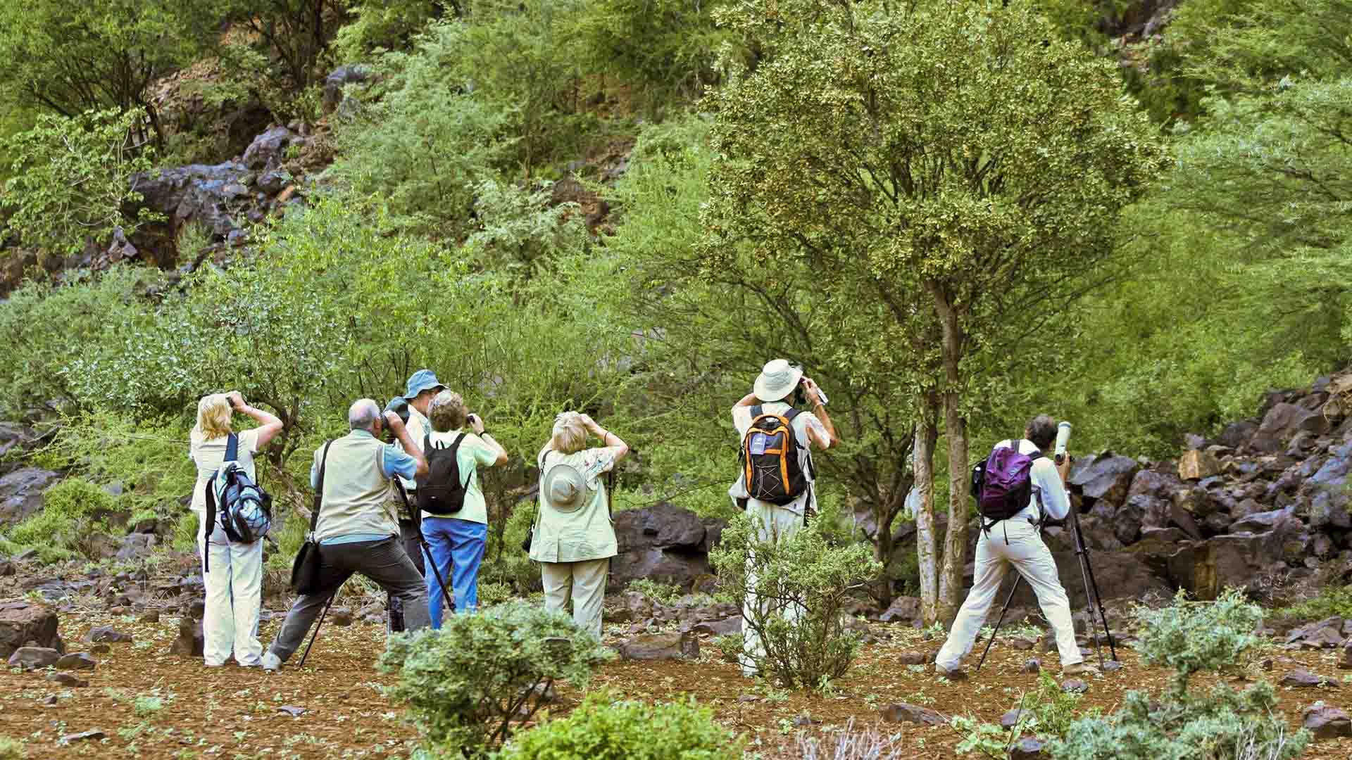 Practical Guide to Your Bird Watching Safari in Tanzania