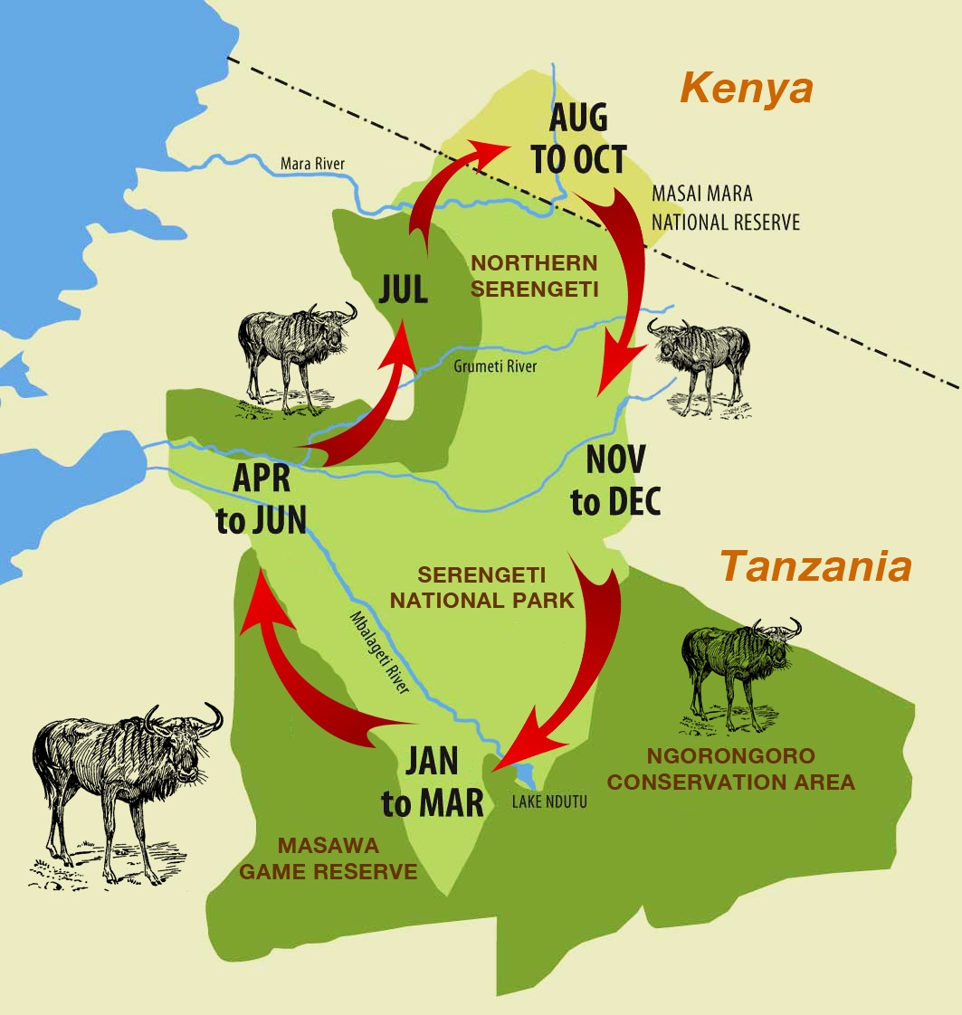 Serengeti National Park Safari