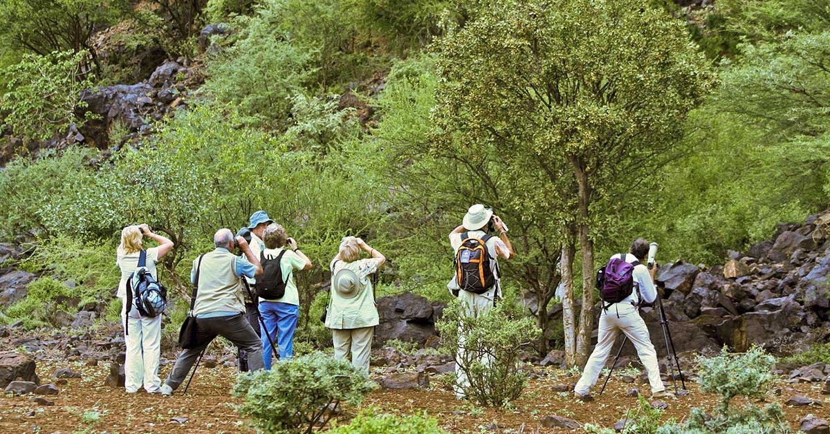  Practical Guide to Your Bird Watching Safari in Tanzania 
