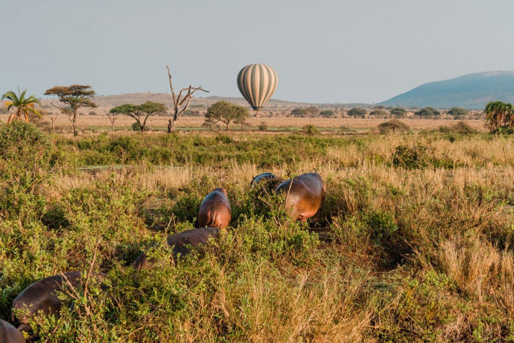 Guide to a 7 Days Serengeti Migration Safari: