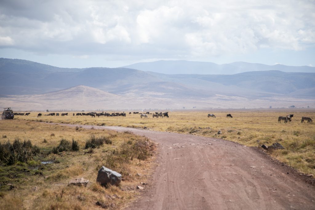 3-Day Safari from Arusha