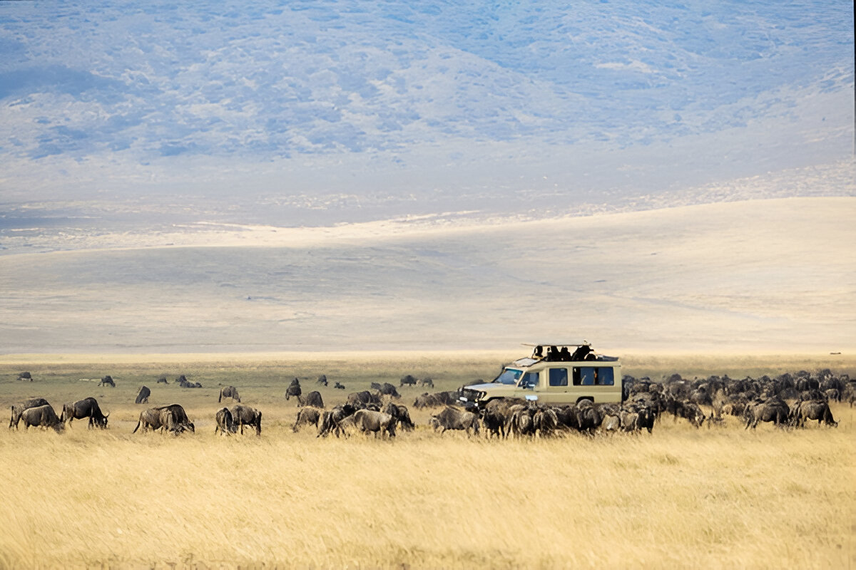 5-Day serengeti Safari Guide