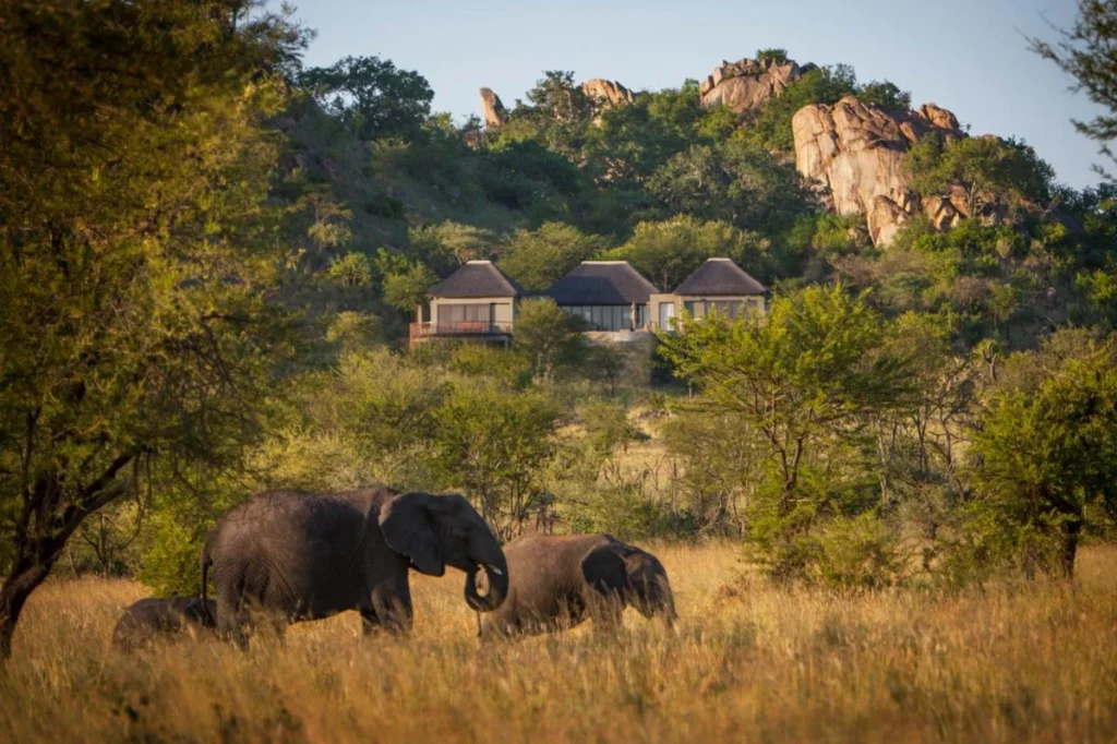 4 Days Serengeti Migration Itinerary