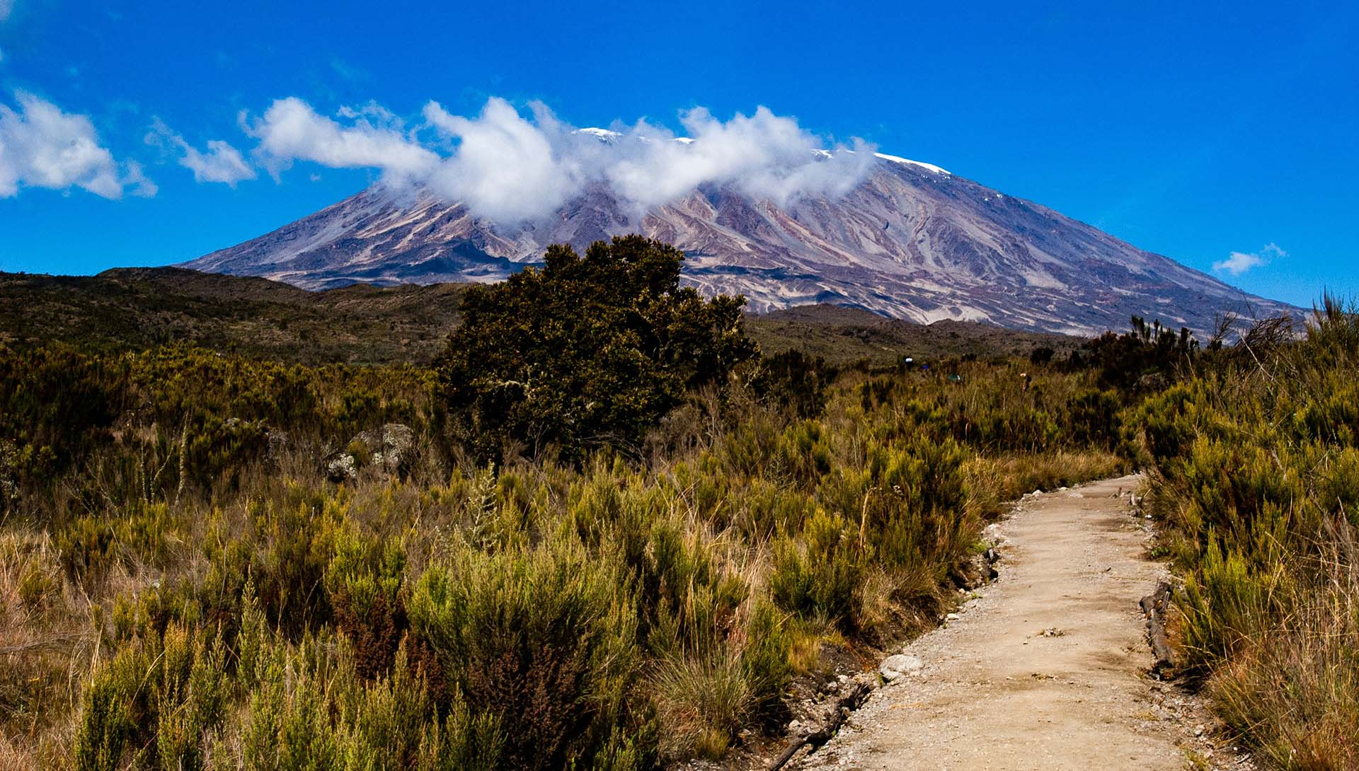 Private vs Group Kilimanjaro Trek: