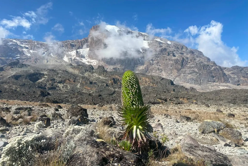 Cheapest Kilimanjaro Routes