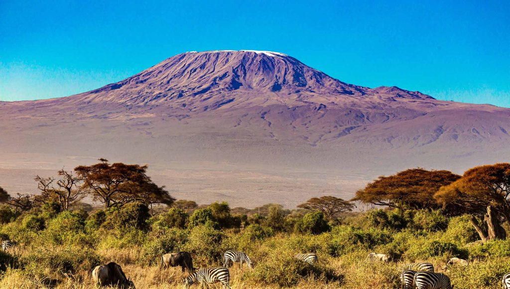 Private vs Group Kilimanjaro Trek: